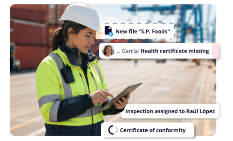 Export Conformity Verification