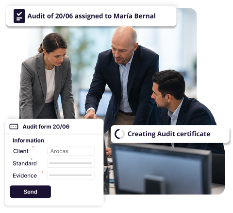 Software for Audit and Certification processes
