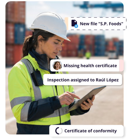 Software for Export Conformity Verification