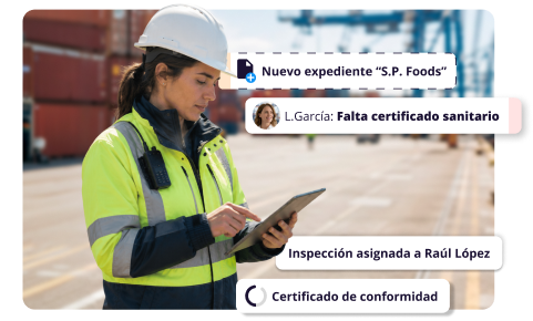 Verificación de Conformidad en Exportaciones