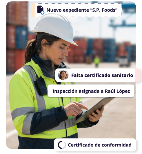 Software para Verificación de Conformidad en Exportaciones